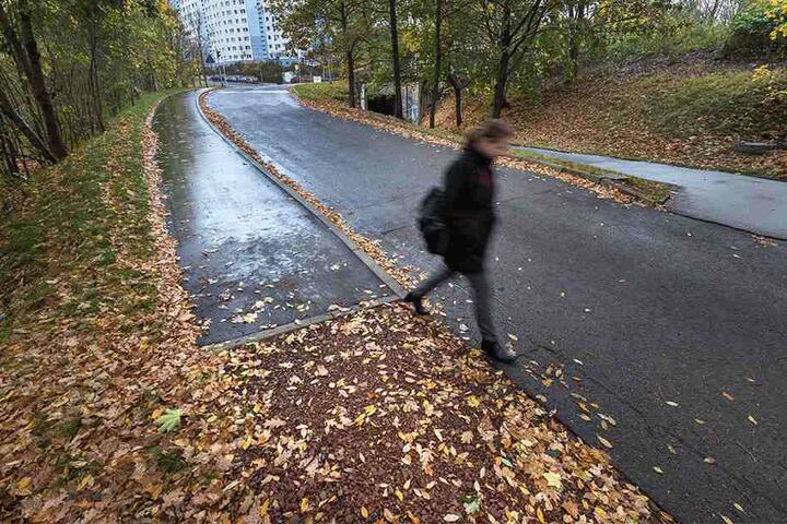Dieser Gehweg soll Fußgänger vor „gefährlichem Mischverkehr“ schützen - aber
nur für 42 Meter.