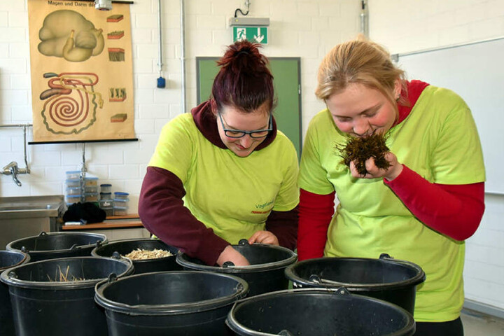Die Wettbewerbs-Teilnehmerinnen Vanessa Wendler (l.) und Maria Zöphel müssen in diesen Trögen Futterzutaten wie Grassilage und Haferschrot erkennen und über ihre Verwendung Bescheid wissen.