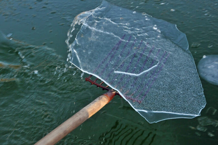 Vor dem Badevergnügen musste in Oederane eine zwei Zentimeter dicke Eisdecke entfernt werden.