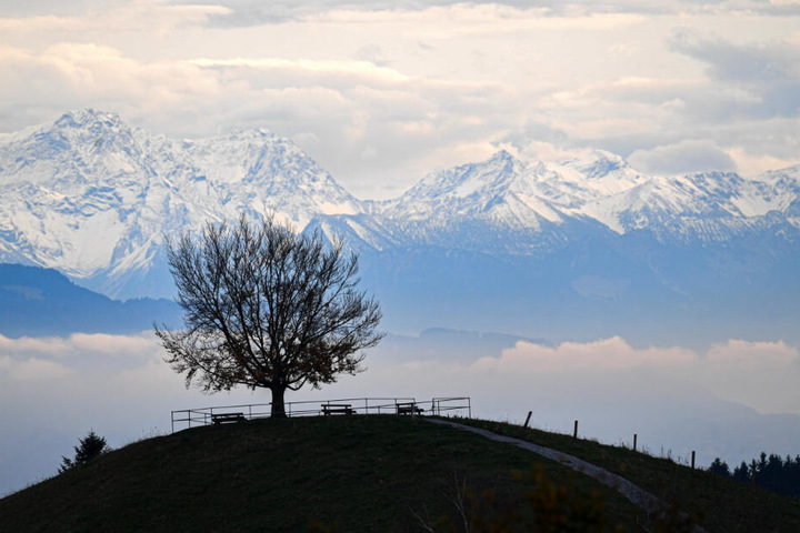 Am Samstag stehen die Chancen auf ein Schnee-Panorama am besten. (Symbolbild)