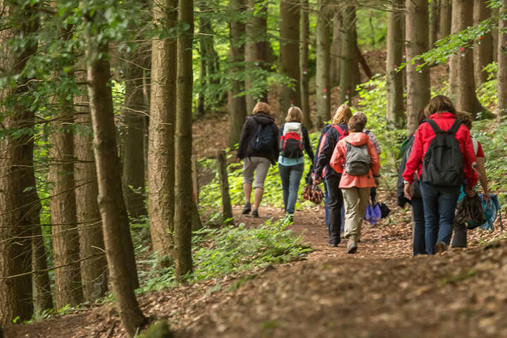 Mit dem Bus kann man zum Wandervergnügen im Erzgebirge starten.