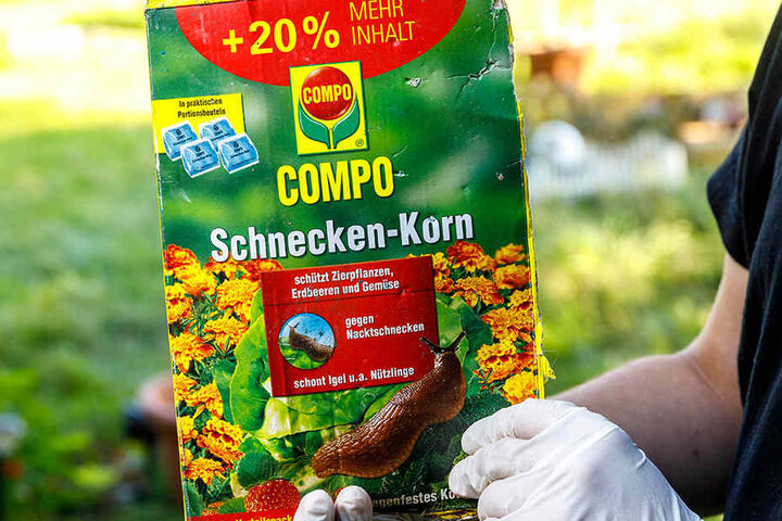 Die Hunde fraßen heimlich vom Pflanzenschutzmittel Schnecken-Korn.