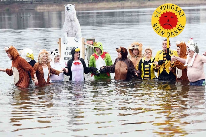 Ein paar wenige haben sich tatsächlich erneut zum Winterschwimmen getroffen.