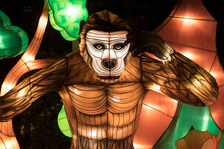 Eine der Leuchtfiguren anlässlich des China Light-Festivals im Kölner Zoo.