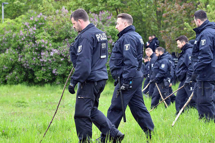 Das Gebiet wird sorgfältig durchkämmt. Auch Hunde kommen zum Einsatz.