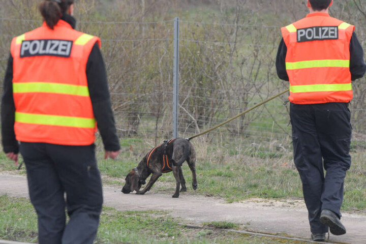 Ein Polizeihund wird zur Suche nach der vermissten Rebecca aus Berlin an der Abfahrt der Autobahn 12 in Fürstenwalde im Landkreis Oder-Spree eingesetzt.