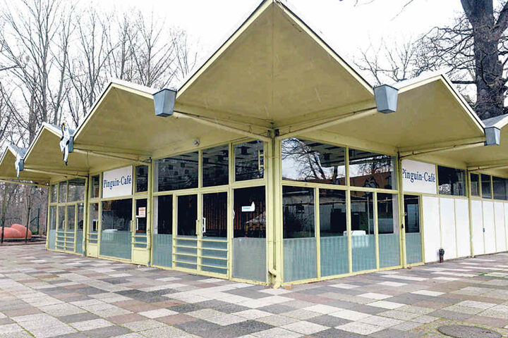 Über 40 Jahre prägte das Pinguin-Café den Zoo. Mittlerweile ist es
demontiert.