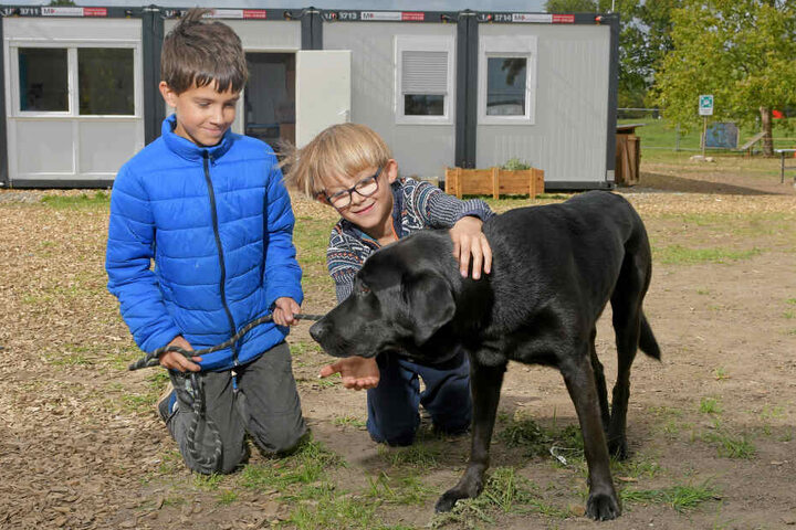Anton (9) und Hugo (9) mit Schulhund Albus.