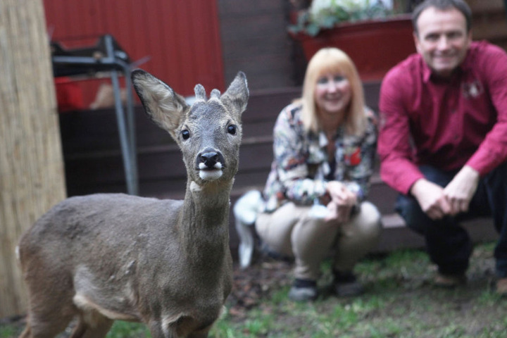 Hier war alles noch in Ordnung: "Bambi" mit seinen Zieheltern Anja Pahlen und Peter Göbel.