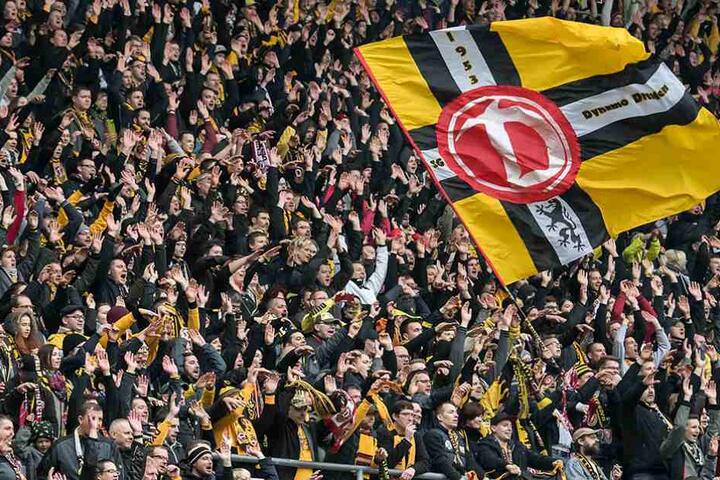 Dynamofans werden im Wildparkstadion unter sich sein.