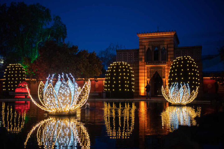 In den ersten Tagen seit der Eröffnung des "Christmas Garden" strömten rund 10.000 Besucher in den Stuttgarter Zoo.