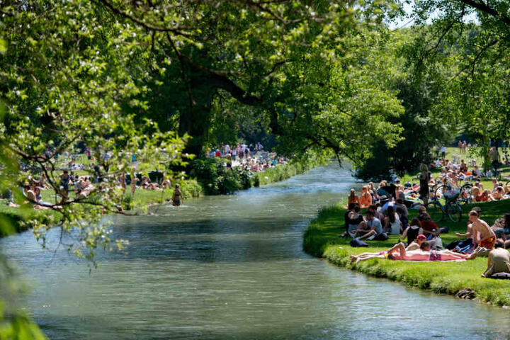 Der Vorfall ereignete sich im Englischen Garten. (Symbolbild)