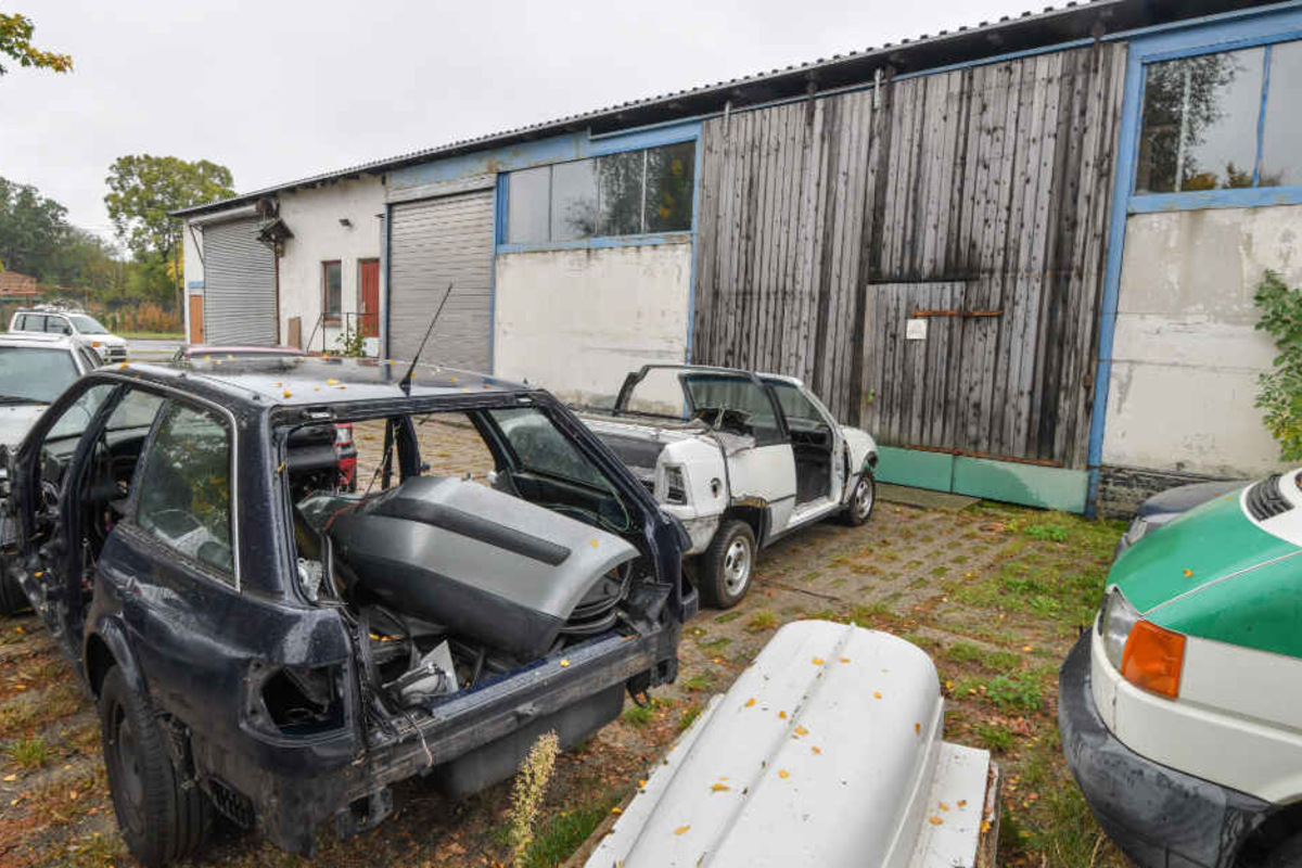 Corso Di Laurea Magistrale Online In Linguistica Moderna