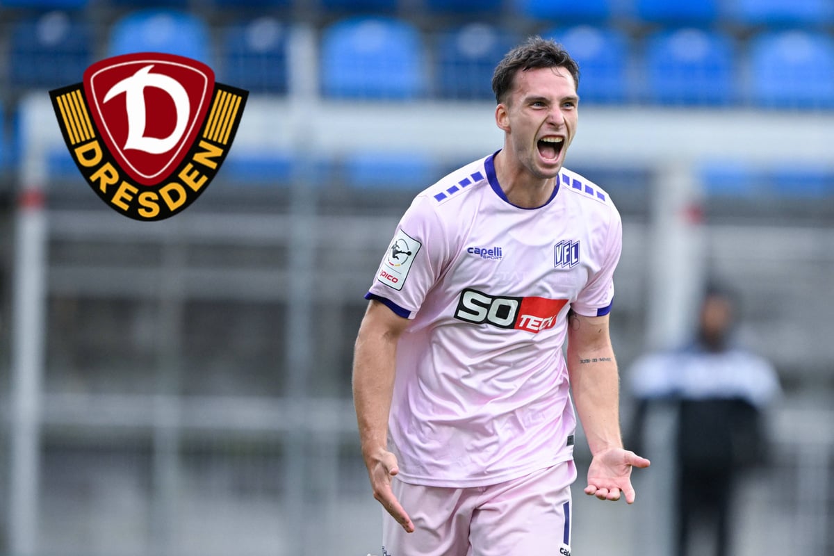 Mei-ner-Co-Das-machen-Dynamos-Leihspieler