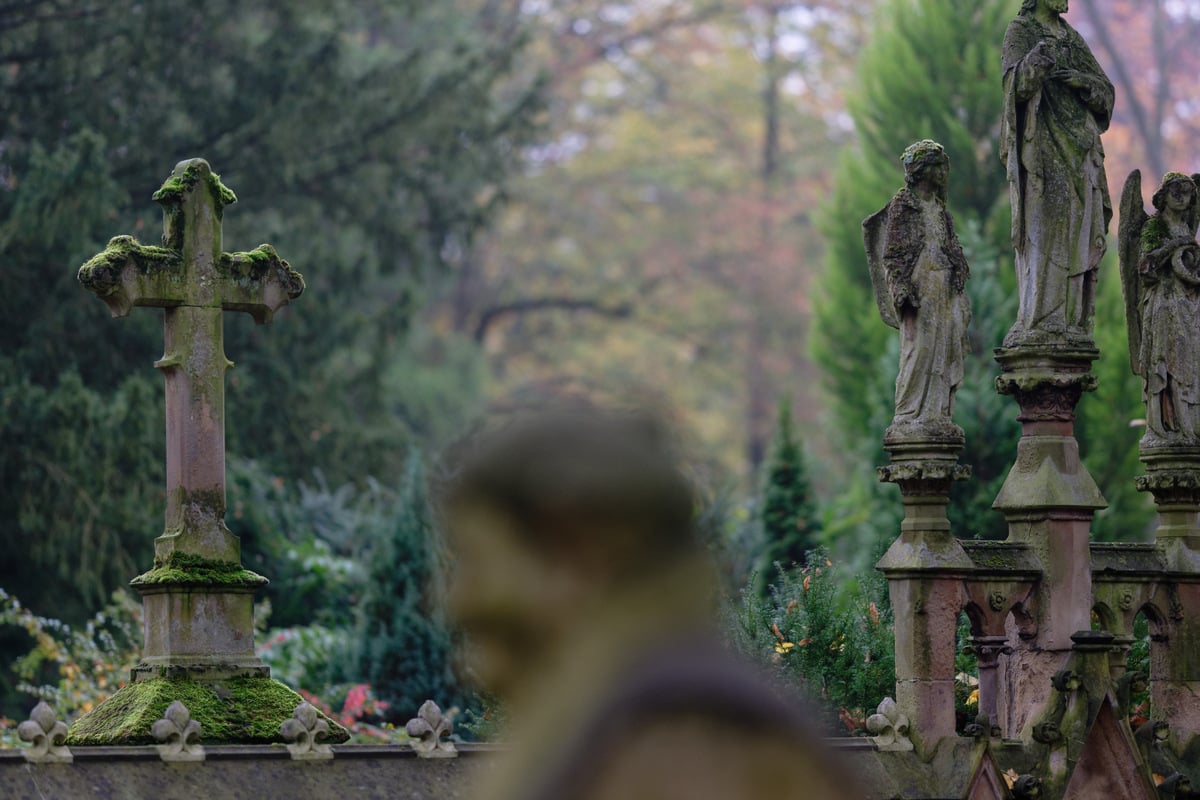 Mehr-als-nur-ein-Ort-der-Toten-Das-ist-auf-K-lns-Friedh-fen-wirklich-erlaubt