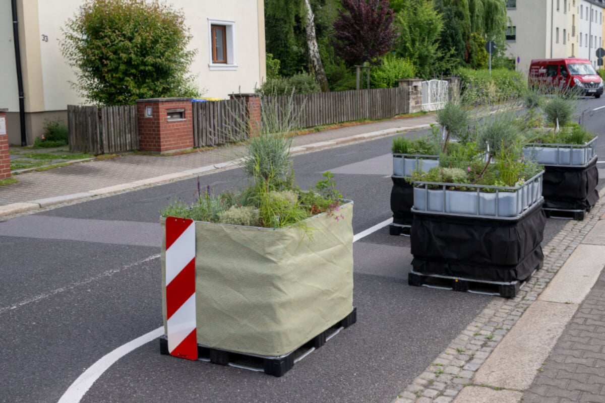 Wieder Attacke auf Verkehrsversuch in Chemnitz: Pflanzenkübel jetzt ohne Pflanzen