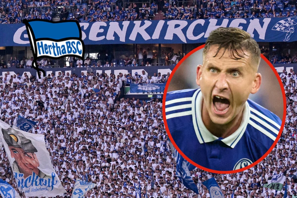Darum-sind-die-Schalke-Fans-nach-dem-Seguin-Wechsel-so-sauer