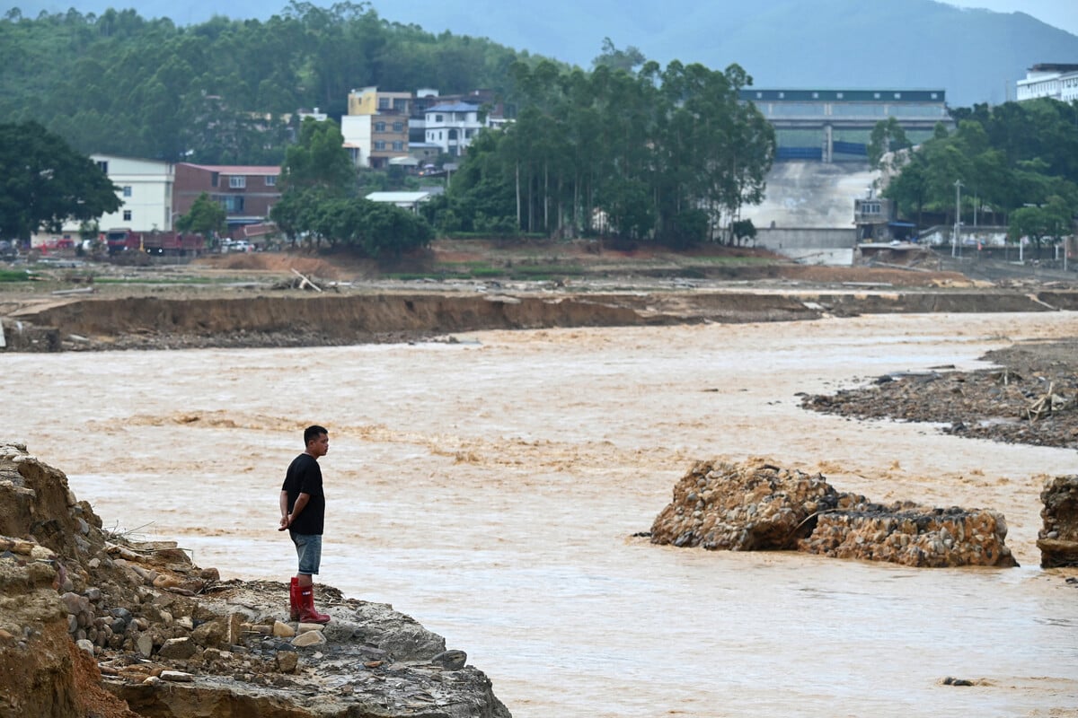 Over 100 animals from China zoo flee enclosures amid devastating typhoon floods