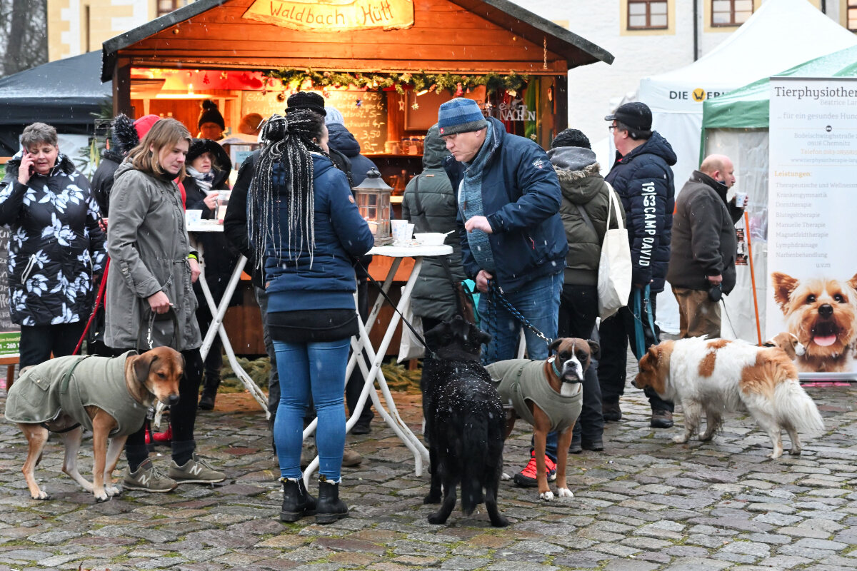 In Chemnitz gibt's auch einen Weihnachtsmarkt für Hunde
