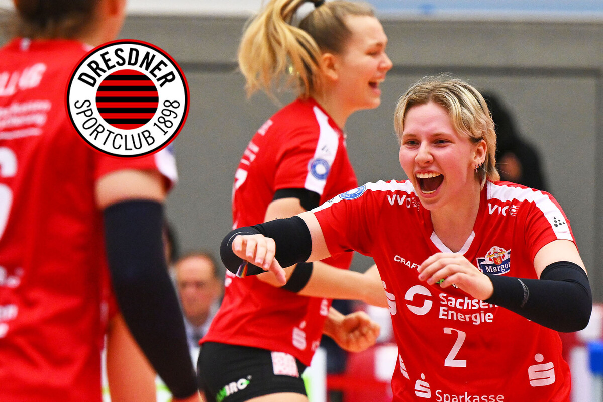 DSC Volleyball startet den Dauerkartenverkauf Das ist in dieser Saison