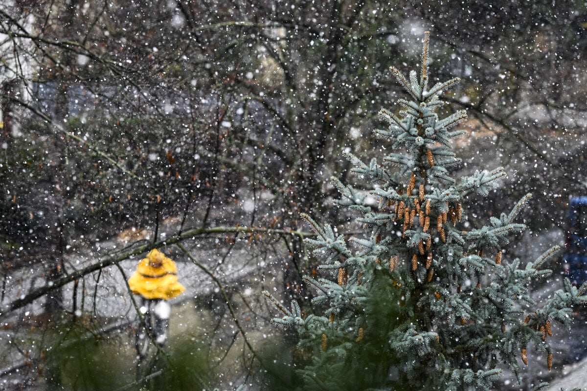 frostig-wetter-l-sst-berlin-und-brandenburg-bibbern-es-wird-glatt