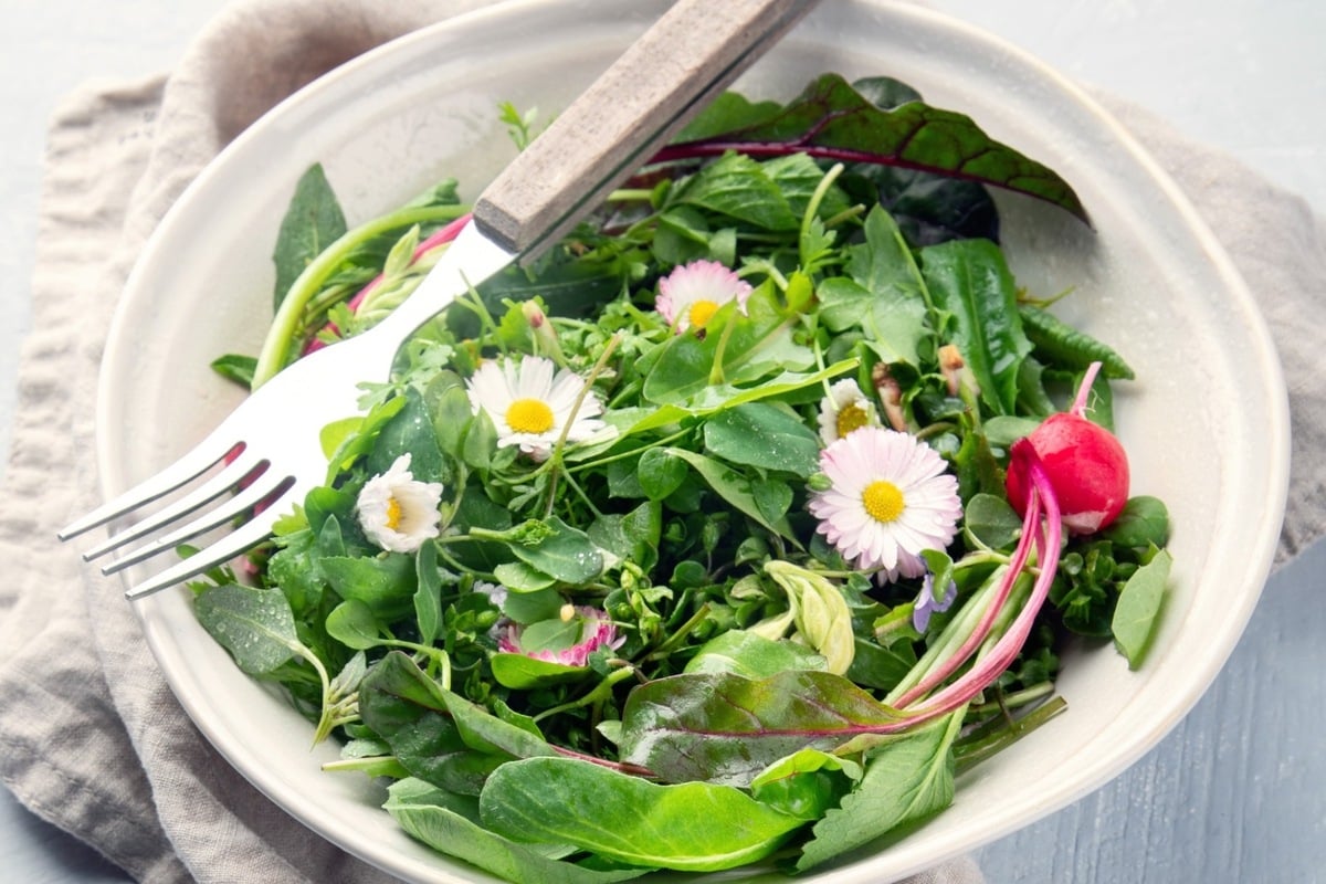 Schön und gesund: Mit Gänseblümchen den Salat aufwerten