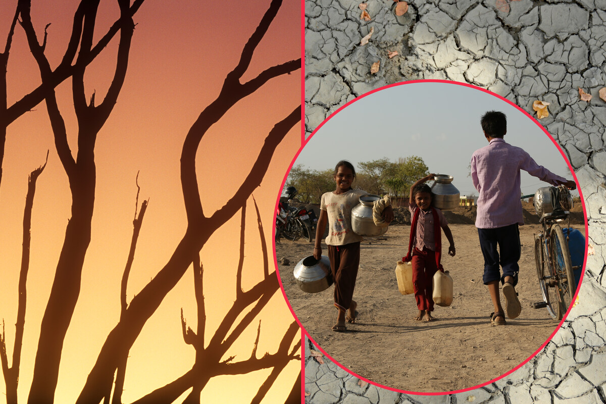 A quarter of humanity hit by drought: What now?