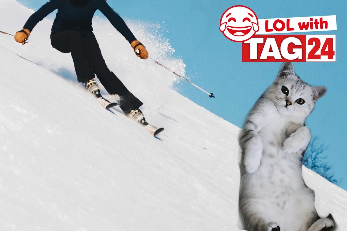 Joke Of The Day For September 21 2024 The Best Jokes To Get Your