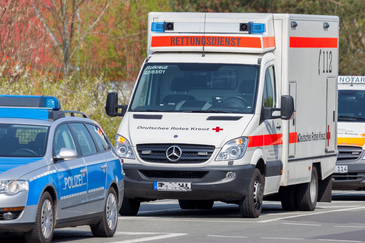 Radfahrer Mit Hund In Berkheim Schwer Verunfallt: 79-Jähriger Stirbt Am ...