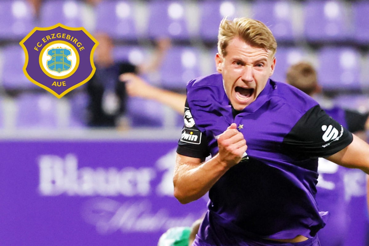 Erzgebirge Aue Heimsieg gegen Sandhausen Seitz und Schwirten schießen