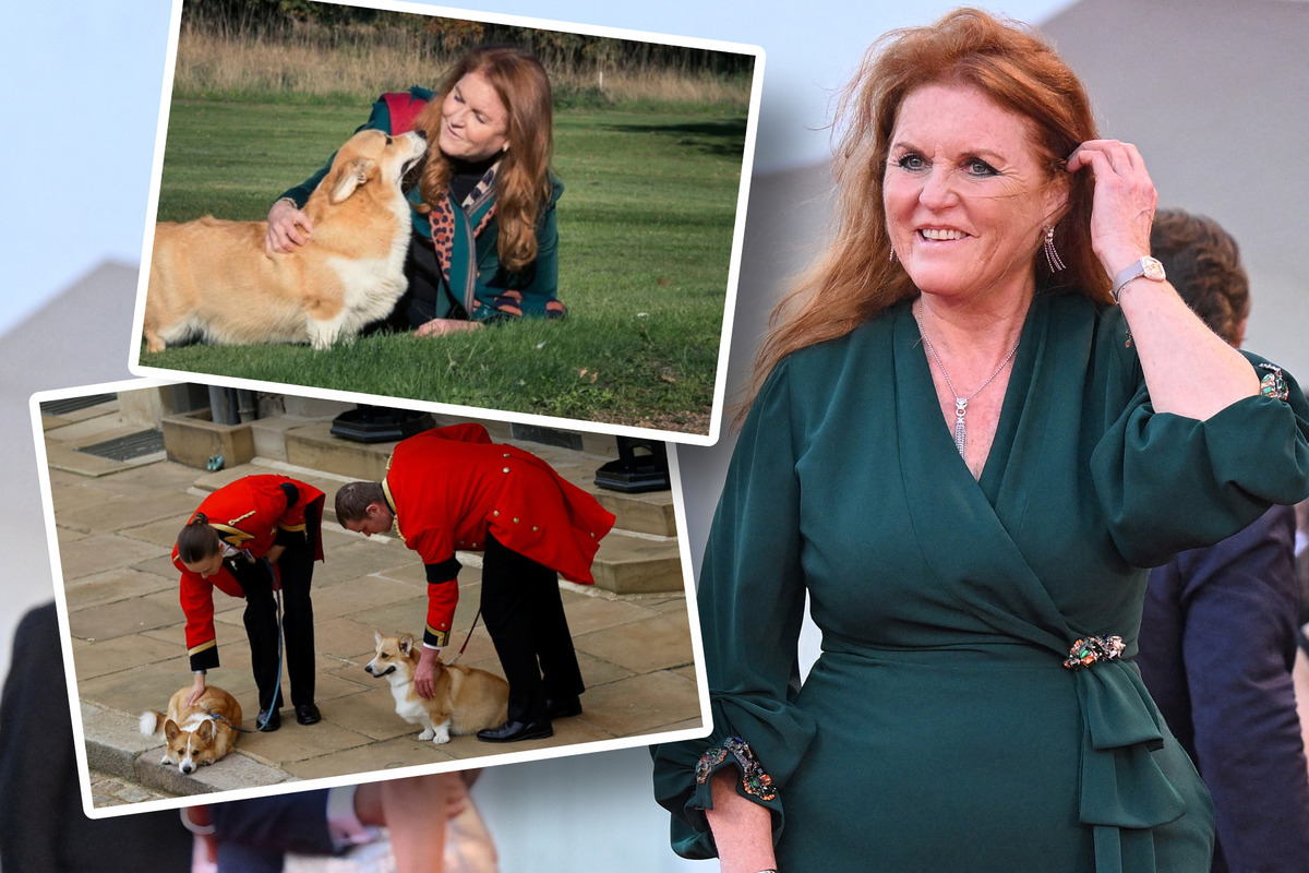 Sarah Ferguson Verrät: So Geht Es Den Corgis Von Queen Elizabeth – NAVTFV