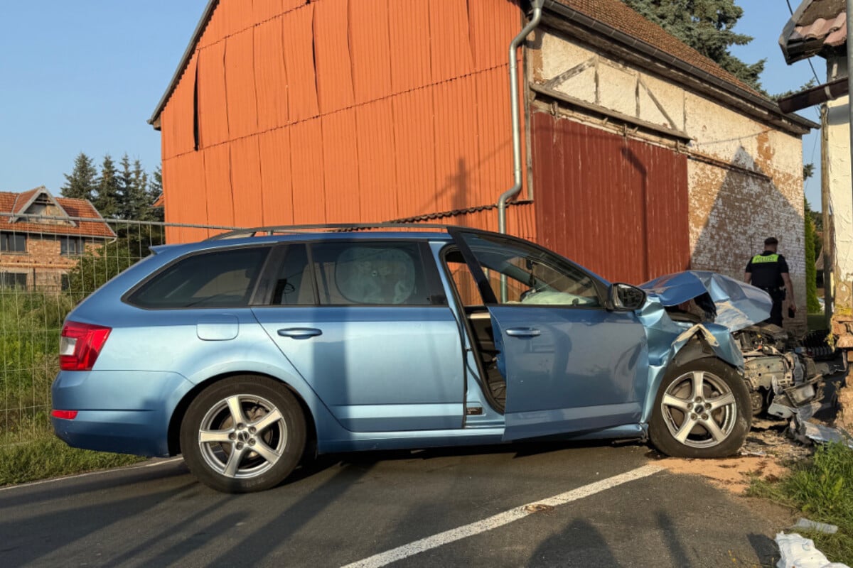 Insekt-verursacht-Unfall-Fahrerin-und-Kind-schwer-verletzt