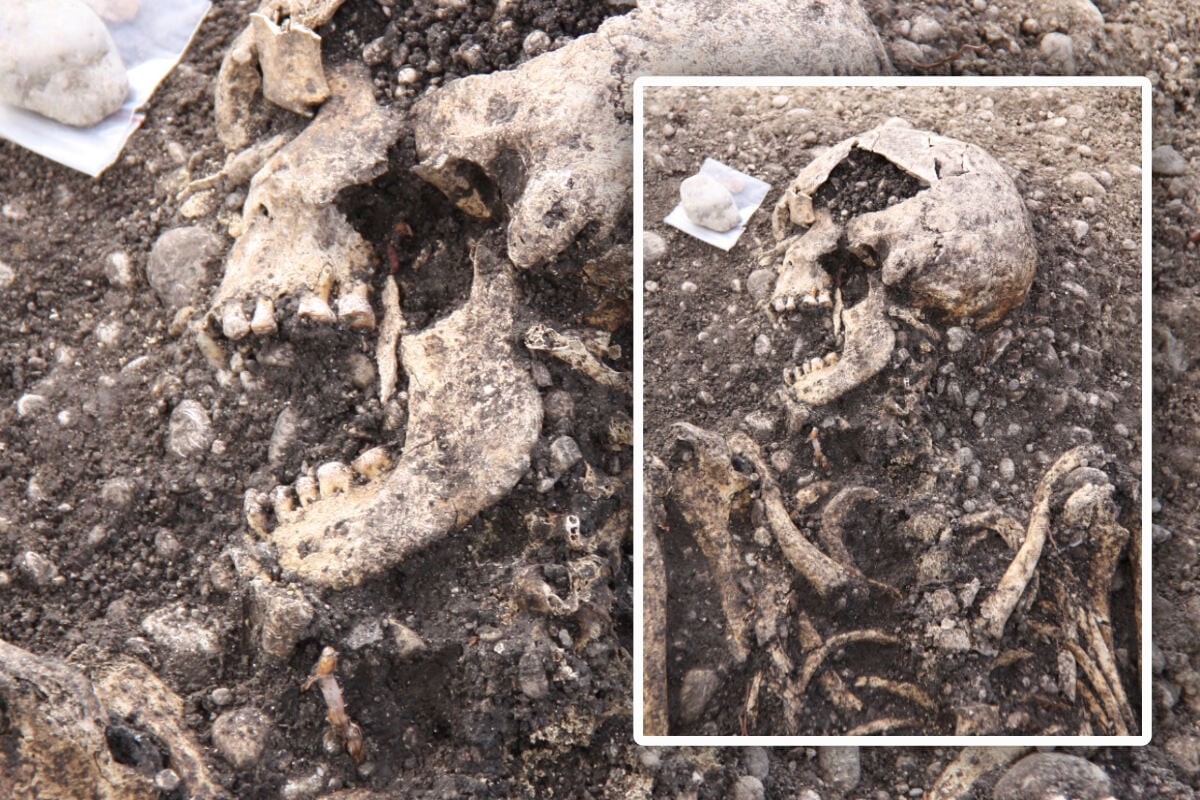 Uralte Skelette entdeckt: Ortsgeschichte muss umgeschrieben werden