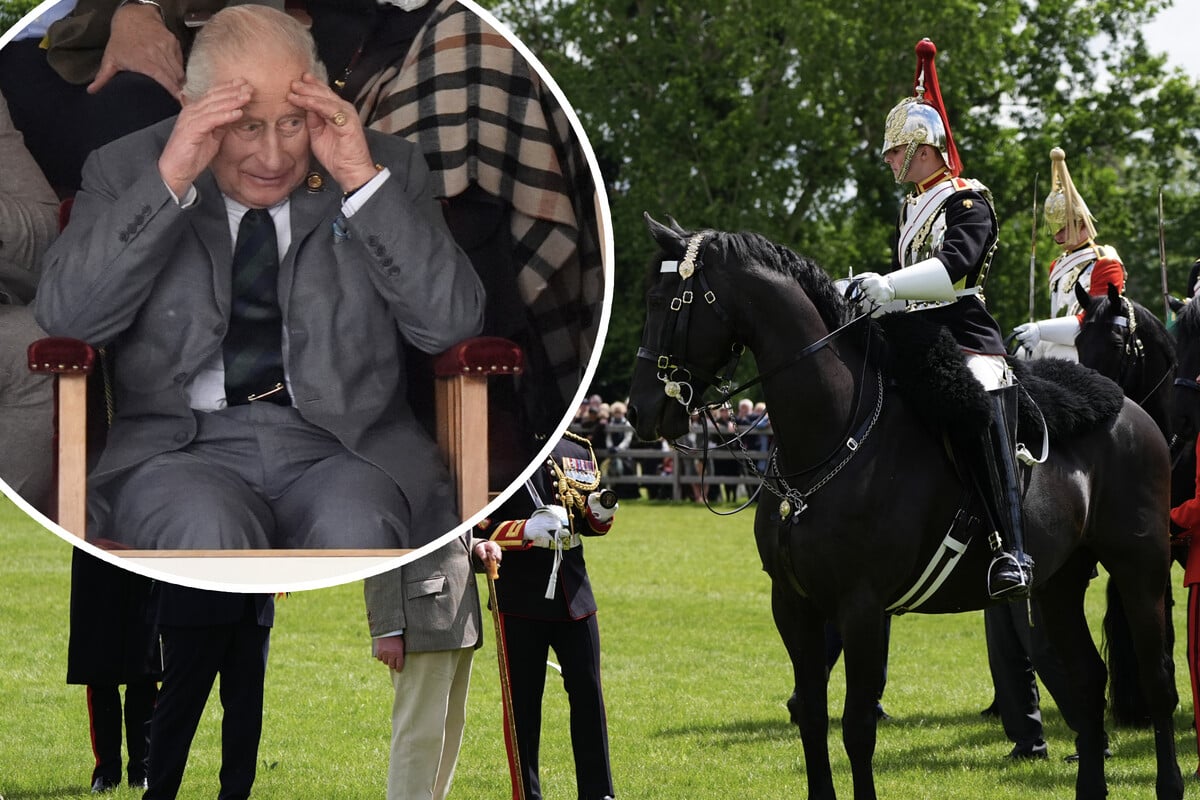 Soldier dies in front of King Charles after tragic accident in horse show