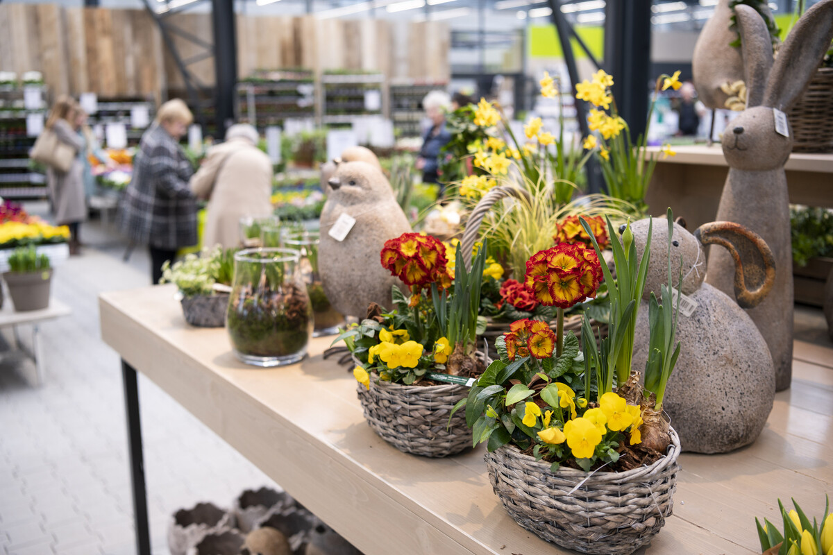 Dieses Gartencenter hat wieder Das erwartet Euch zum (Neu)Start