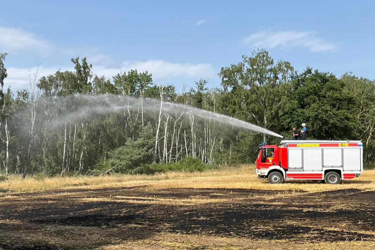 Flammen auf Feld: Feuerwehr verhindert Waldbrand!