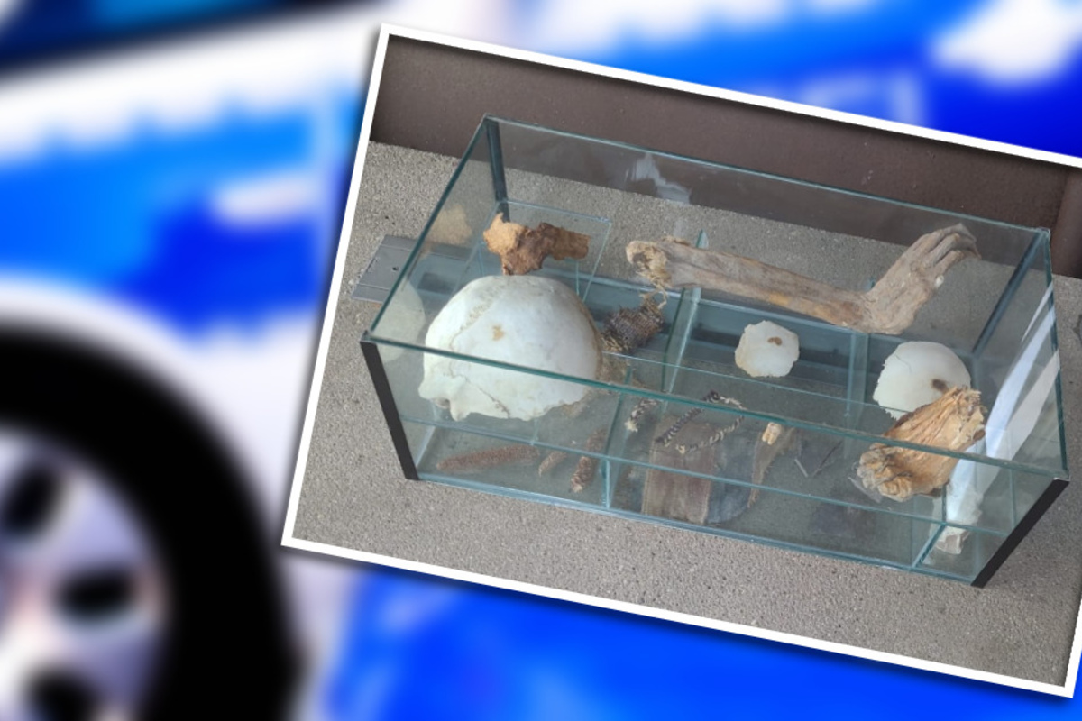 R-tselhafter-Knochenfund-in-Speyer-Staatsanwaltschaft-nennt-Ergebnis