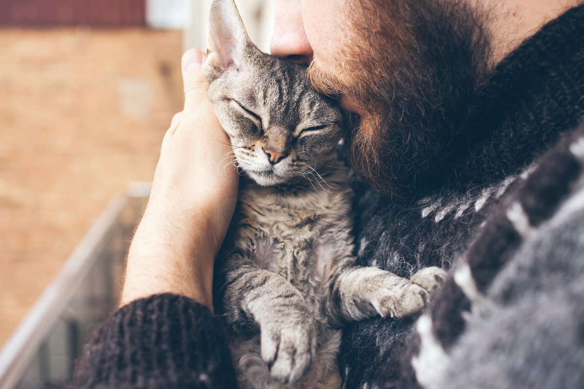 Liebt mich meine Katze? 8 Liebesbeweise