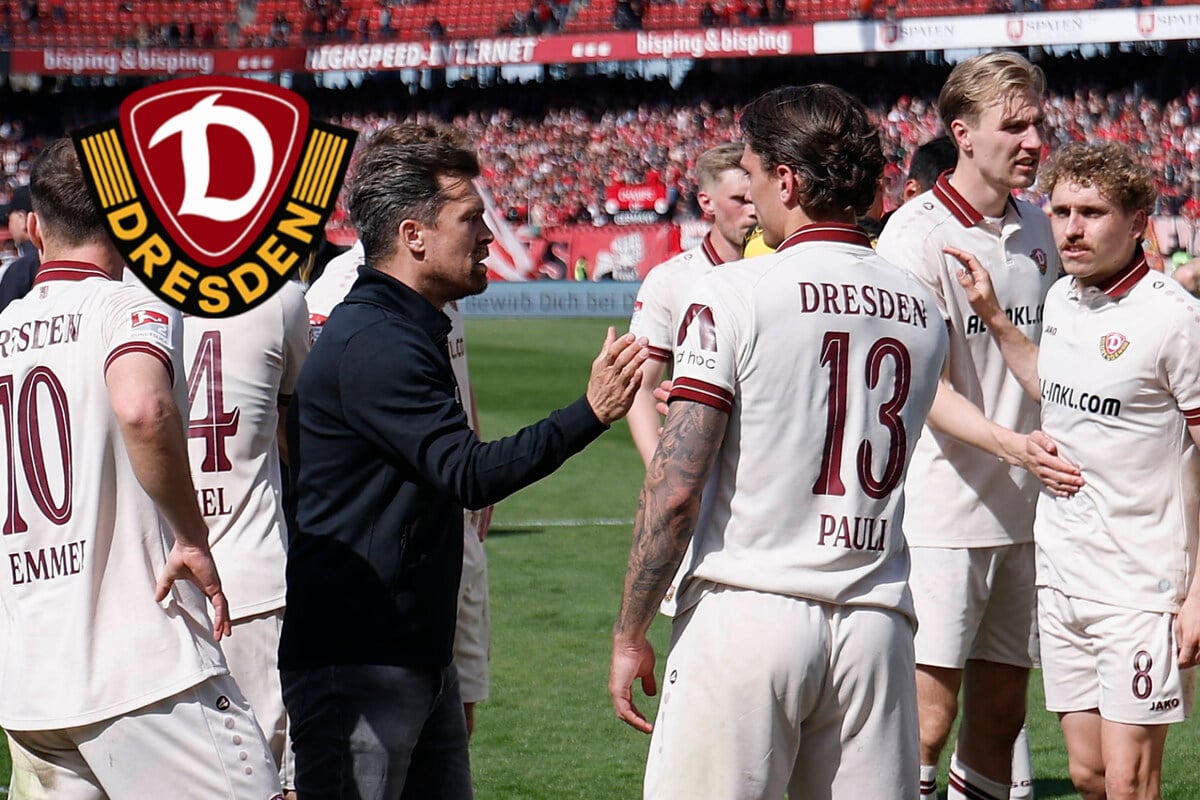 Dynamo: Stamms Zauberwort heißt Effizienz