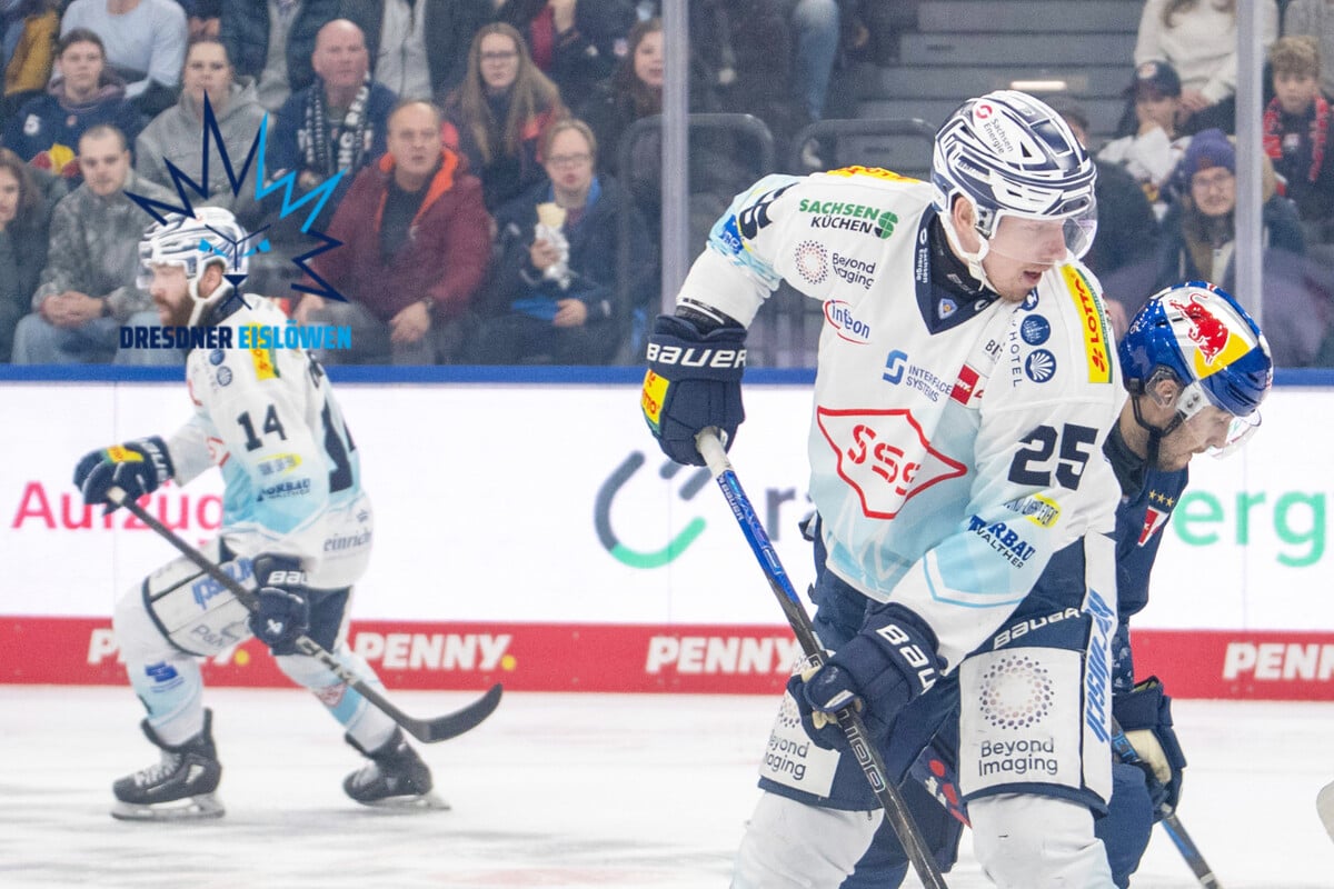 Red-Bull-Fans-verh-hnen-Eisl-wen-nach-n-chster-Pleite-Zweite-Liga-Dresden-ist-dabei-