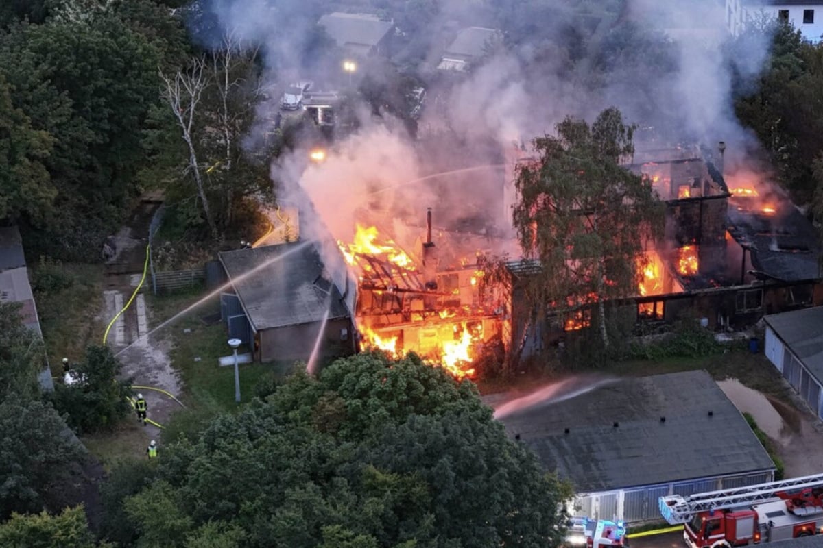 Großbrand in Halle: Tischlerei wird vollständig zerstört, 100.000 Euro Schaden