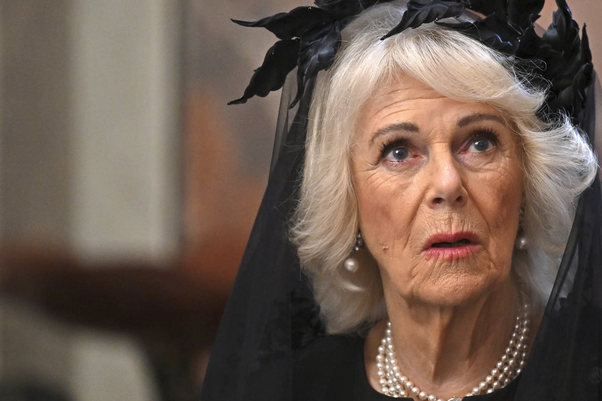 Nach-Skandal-um-Ex-Prinzen-Andrew-Camilla-ignoriert-Fragen-zu-Jeffrey-Epstein