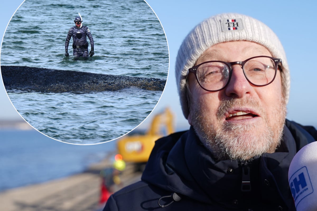 Bürgermeister über Robert Marc Lehmann: 