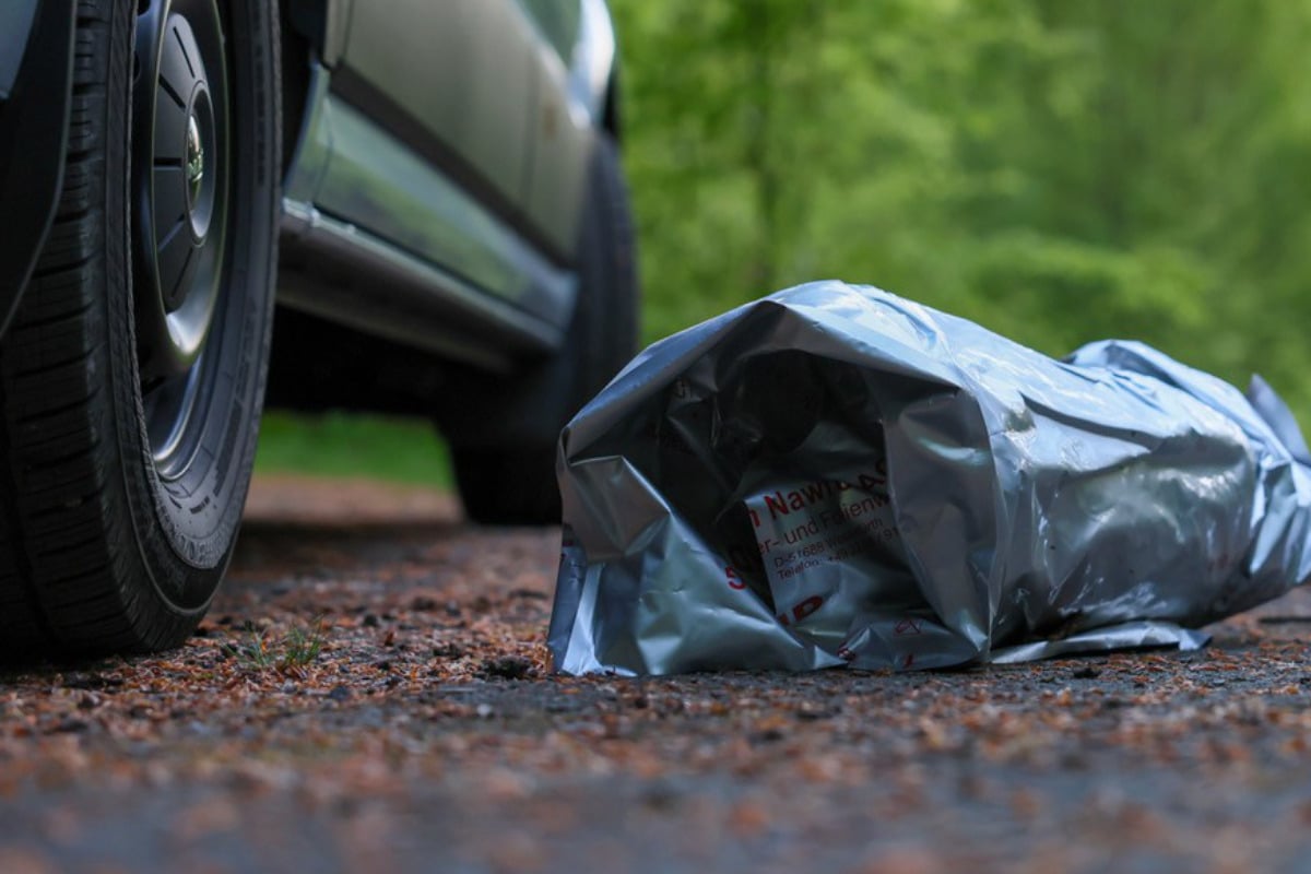 Beim Spielen im Wald: Hund findet Phosphorbombe
