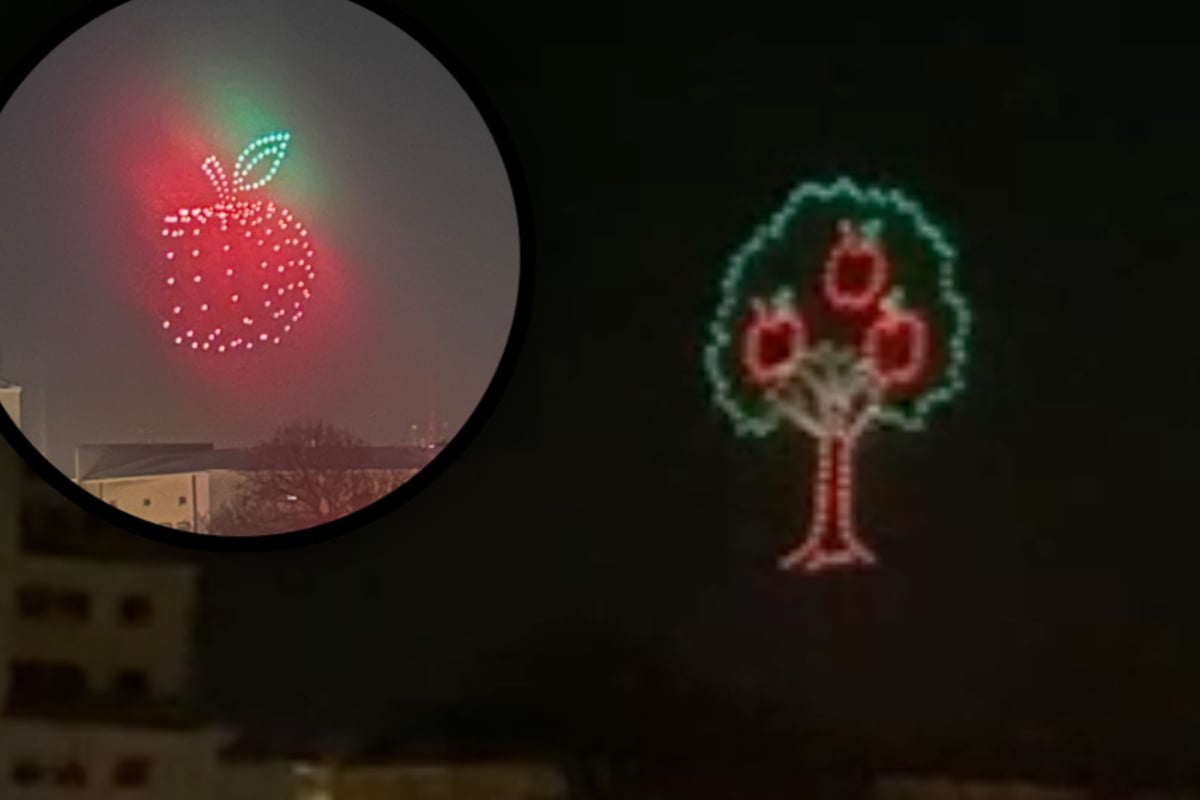 Deshalb-erstrahlte-pl-tzlich-ein-Apfelbaum-am-Dresdner-Abendhimmel