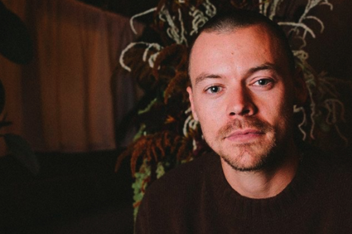 Style Arc Schnittmuster Harry - Gewebtes Oberteil & Kleid Größen 38-50