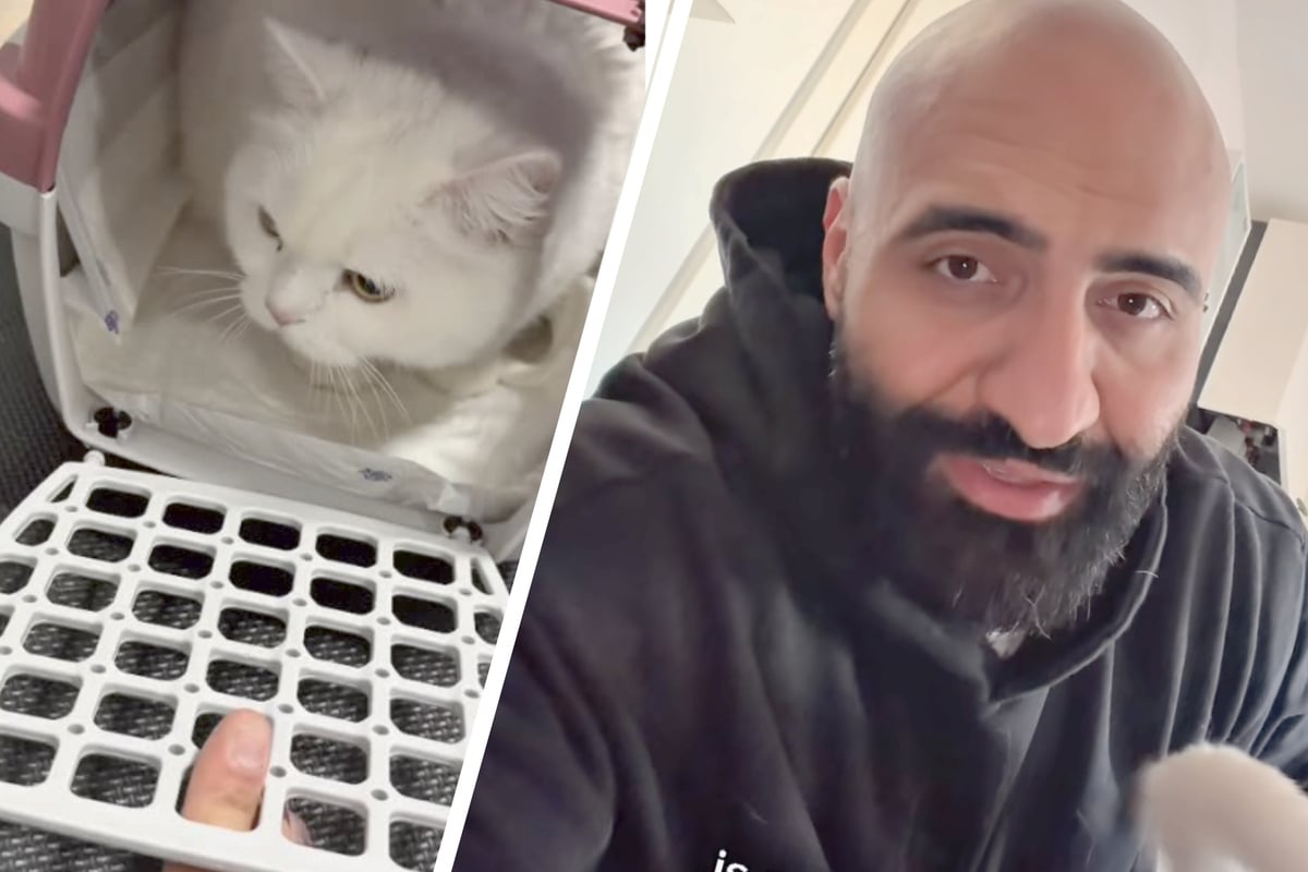 Nach-Tod-von-Patientin-Barbara-82-TikTok-Pfleger-bangt-um-ihren-Kater-Lucky