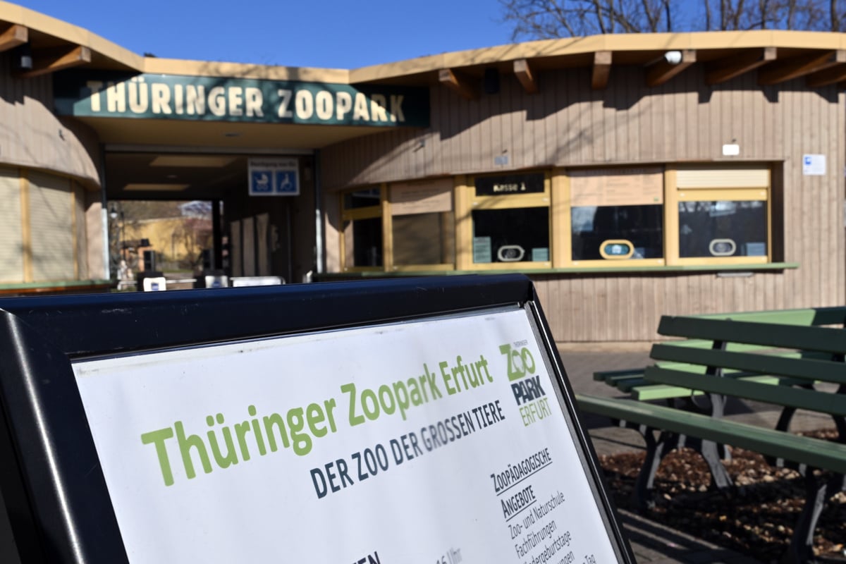 Th-ringer-Zoopark-l-nger-ge-ffnet