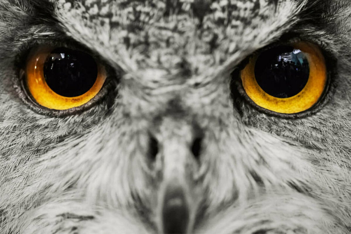 Horoskop heute: Tageshoroskop kostenlos für den 27.3.2026