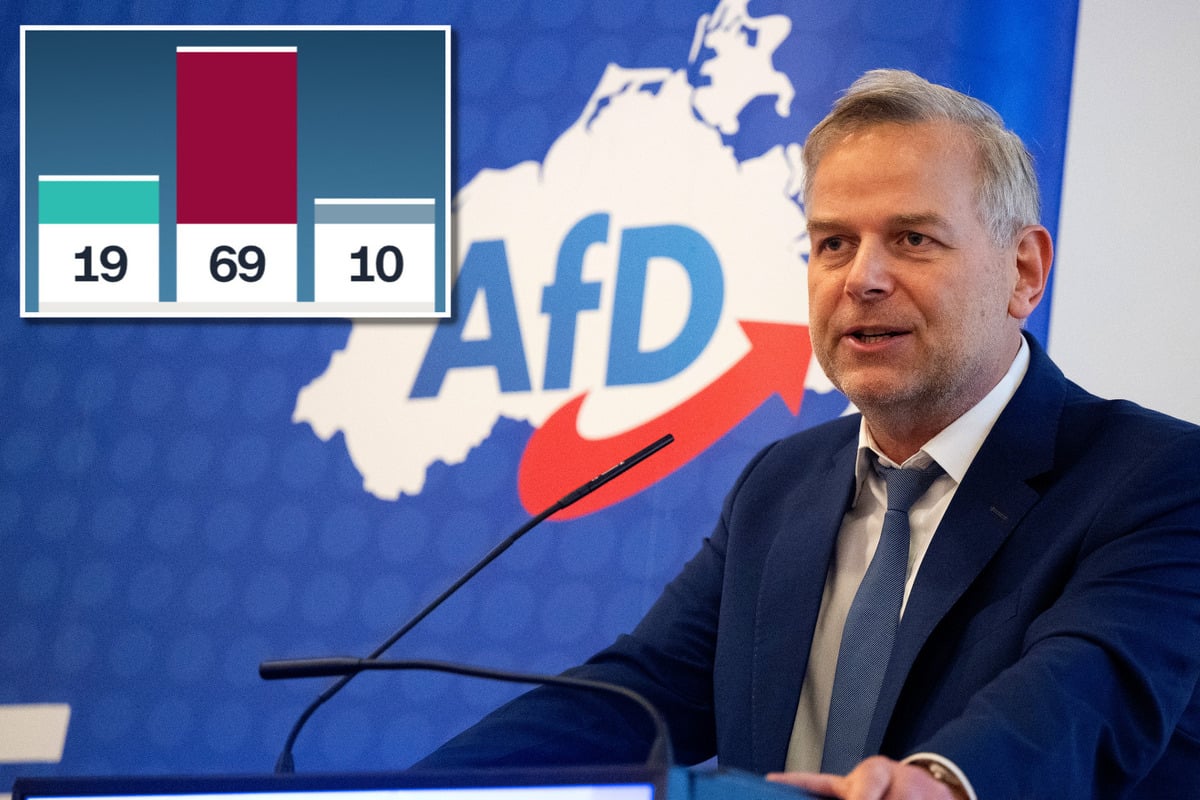 Brauchen wir AfD-Ministerpräsidenten? Das sagen die Deutschen laut Umfrage